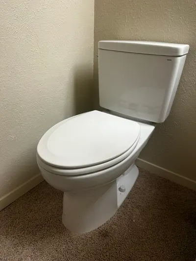 A newly installed toilet in the corner of a carpeted bathroom.