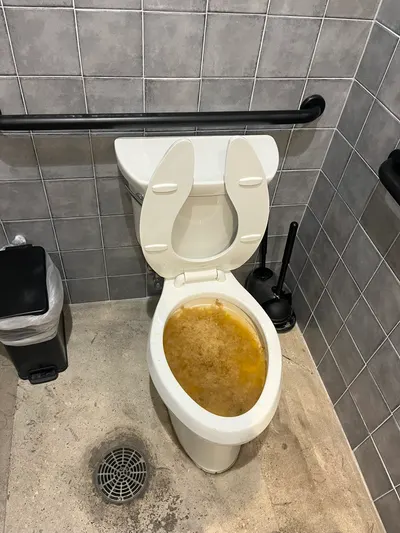 A clogged toilet with discolored water in a restroom with an ADA grab bar.